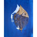 A brown leaf in the process of decomposing placed on a deep blue background with a white impression of the same leaf.