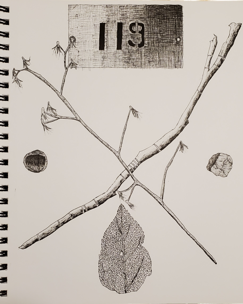 A black and white drawing with two sticks crossed over each other with a number plate on top, a hazelnut on the left side of the paper, and the rock on the right side of the paper. And a leaf on the bottom.