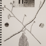 A black and white drawing with two sticks crossed over each other with a number plate on top, a hazelnut on the left side of the paper, and the rock on the right side of the paper. And a leaf on the bottom.