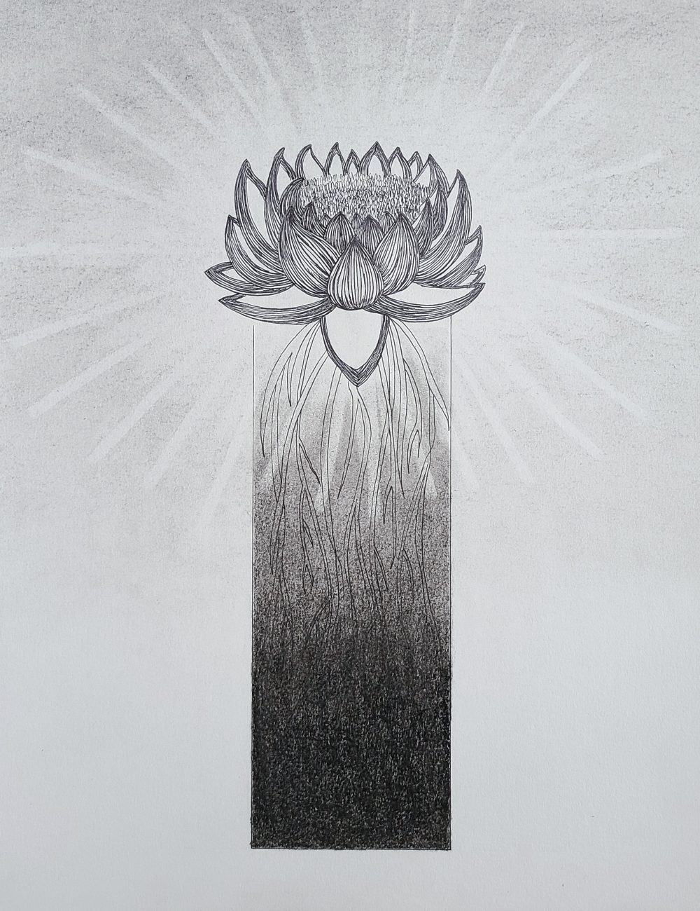A black and white mixed media drawing of a lotus flower breaking free from the confinement of a box with light rays radiating from the center of the flower.