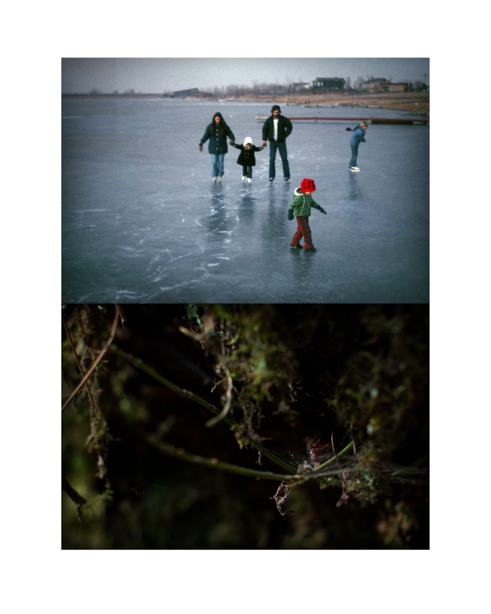 Above five figures brave the ice on a winter's day, with a lush, mysterious forest scene below.