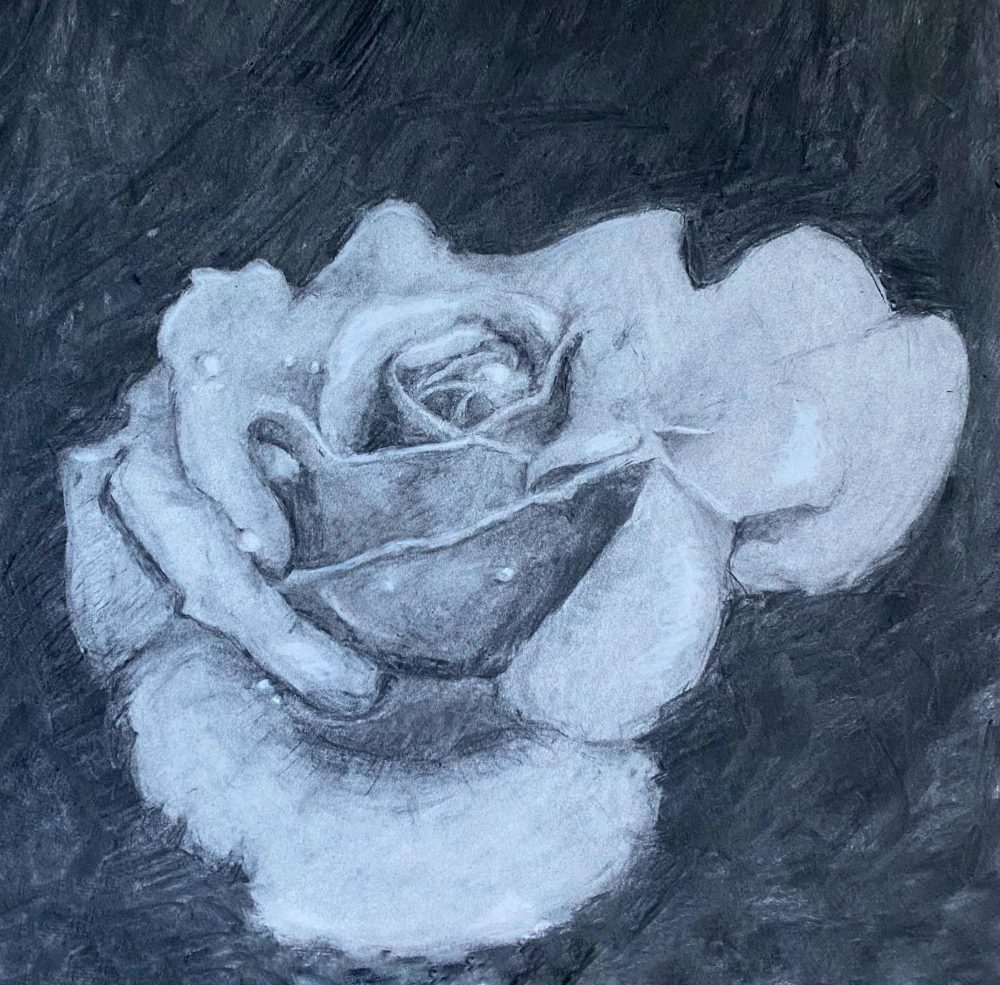 Drawing of a white rose with water drops set in a black background with petals protruding in the foreground.