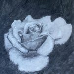 Drawing of a white rose with water drops set in a black background with petals protruding in the foreground.