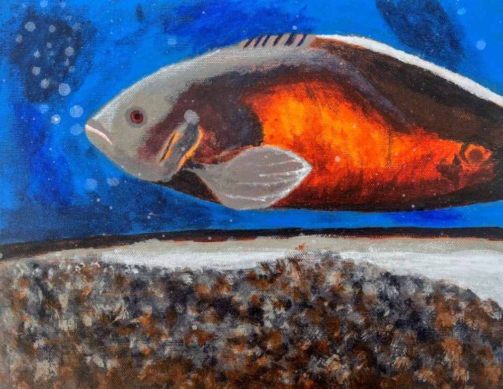 A painting displaying a large gray Tiger Oscar fish with a glowing amber body, bubbles scattered on and around the fish, with a bed of gravel inches below the fish.