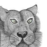 A drawing in black and white of the face of a lion on a white background