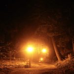 Four glowing lights illuminate a path leading into a forest during nighttime; trees tower over the path and disappear into the darkness.