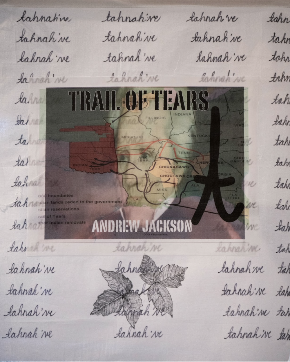 T flag by Rochelle Nielsen.