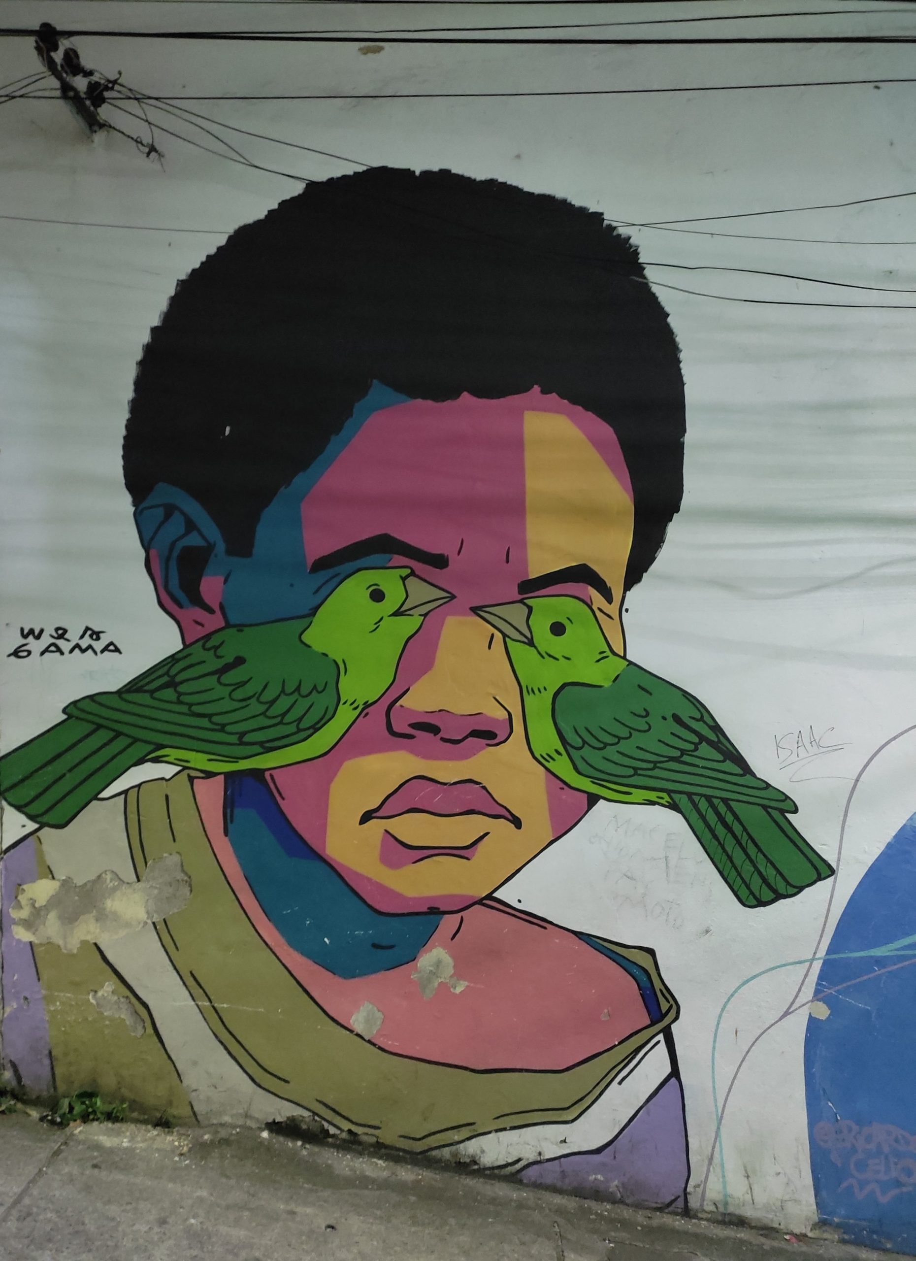 Person's face and two birds covering their eyes.
