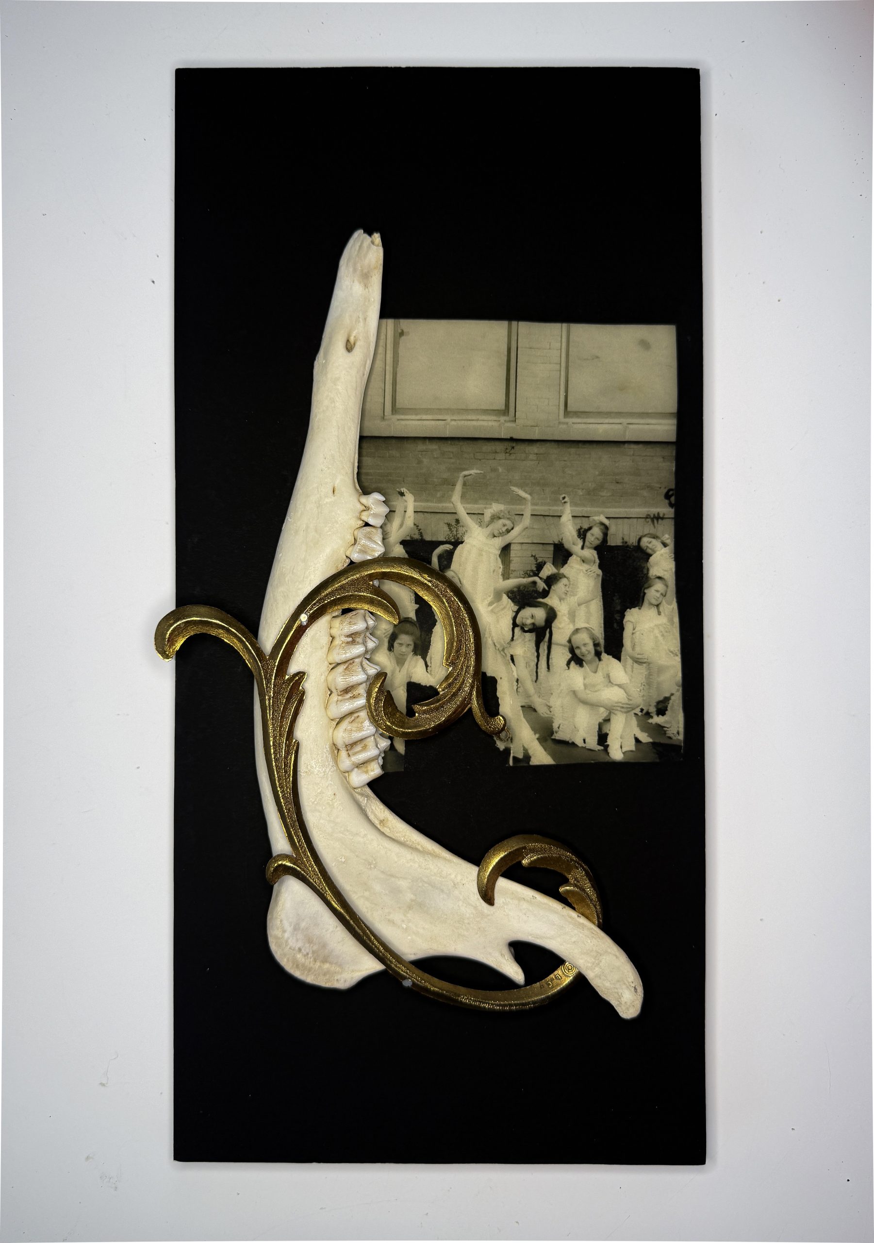 Time is a game played beautifully by children. – Heraclitus Dardinelle Troen 2025 Archival digital photo on walnut, deer jawbone, zinc filigree 7 x 14 x 1.5” inches
