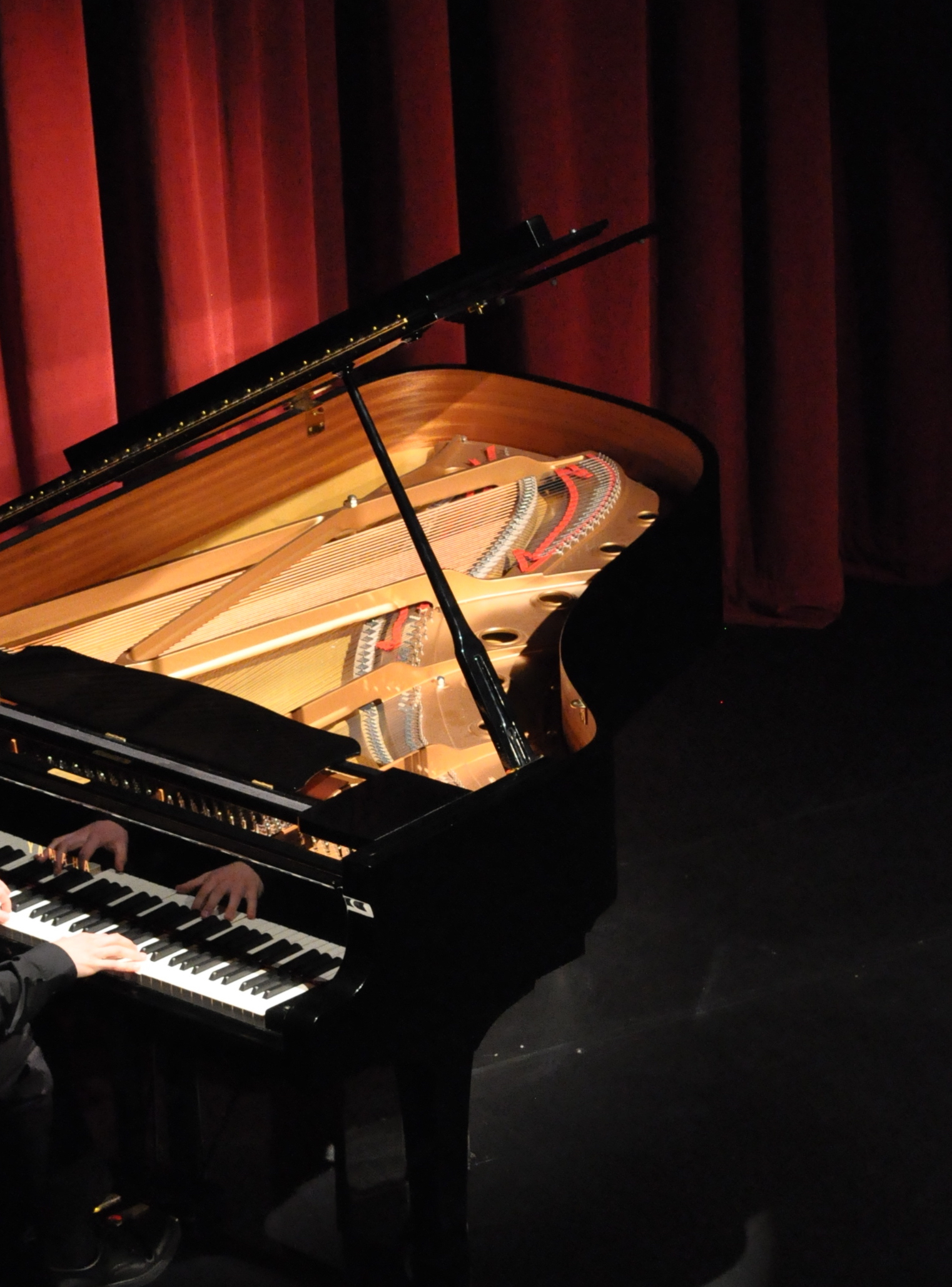 Decorative image of Grand Piano in Performing Arts Center