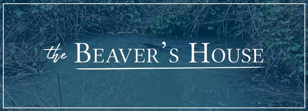A blue photo of a beaver in a pond overlaid with white text that says "A Beaver's House"