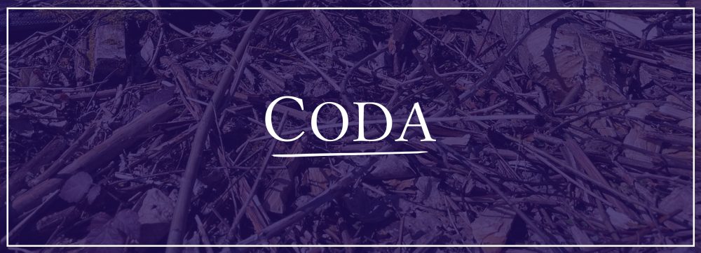 A purple image of sticks overlaid with white text that says "Coda"