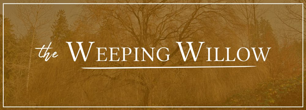 An orange photo of the Writers House willow tree overlaid with white text that says "The Weeping Willow"