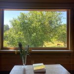 a small table overlooking a window with a view of an orchard and deer