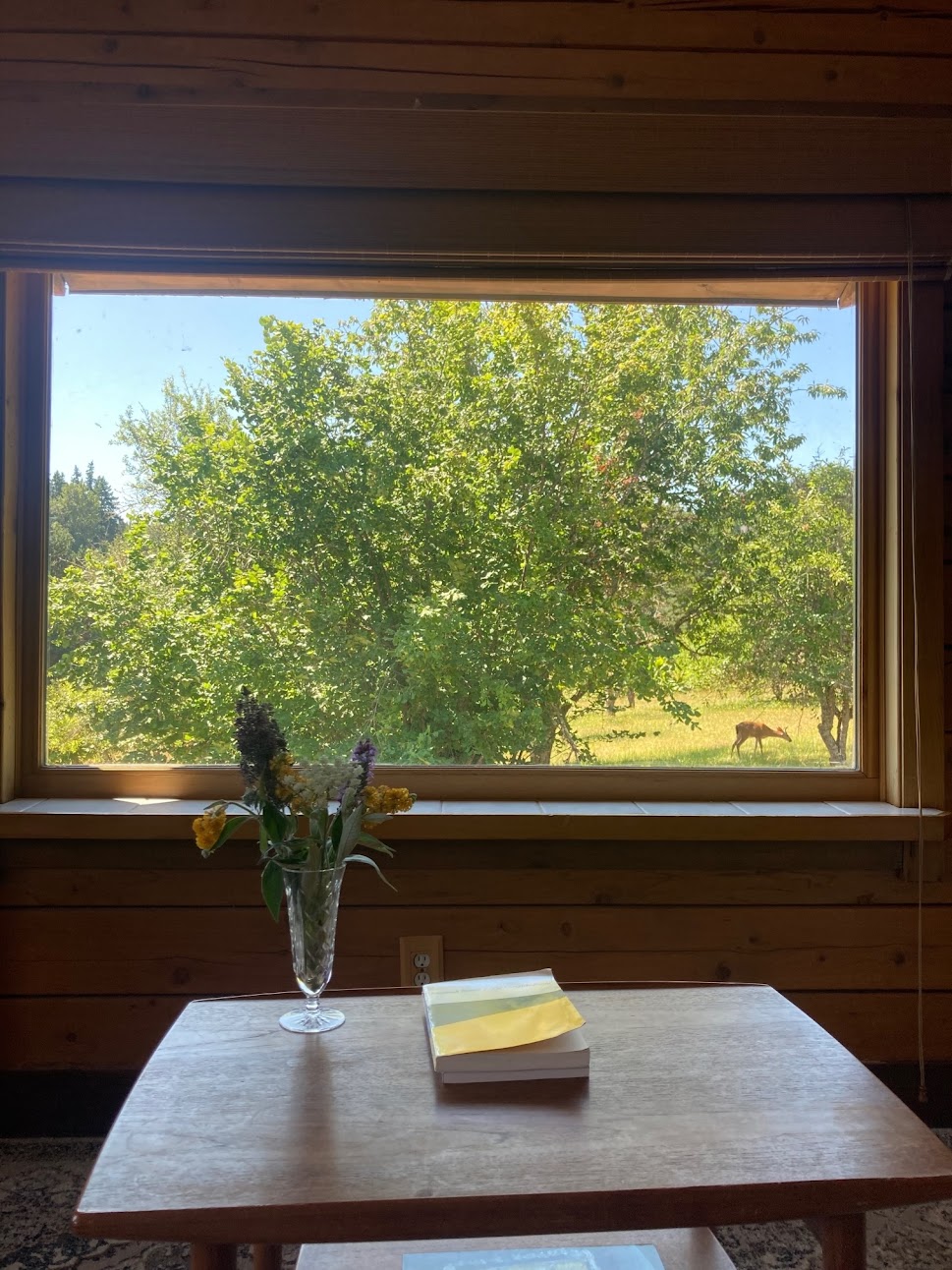 a small table overlooking a window with a view of an orchard and deer