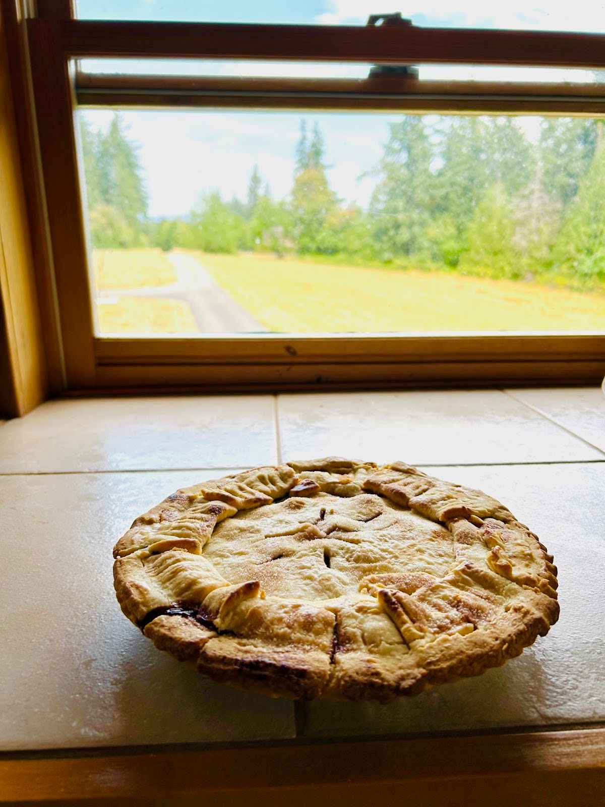 Five Days at the Carolyn Moore Writers House HARTS (Humanities and Five Days at the Carolyn Moore Writers House HARTS (Humanities and