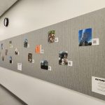 photographs taken by PCC students and displayed in a hallway exhibit on campus