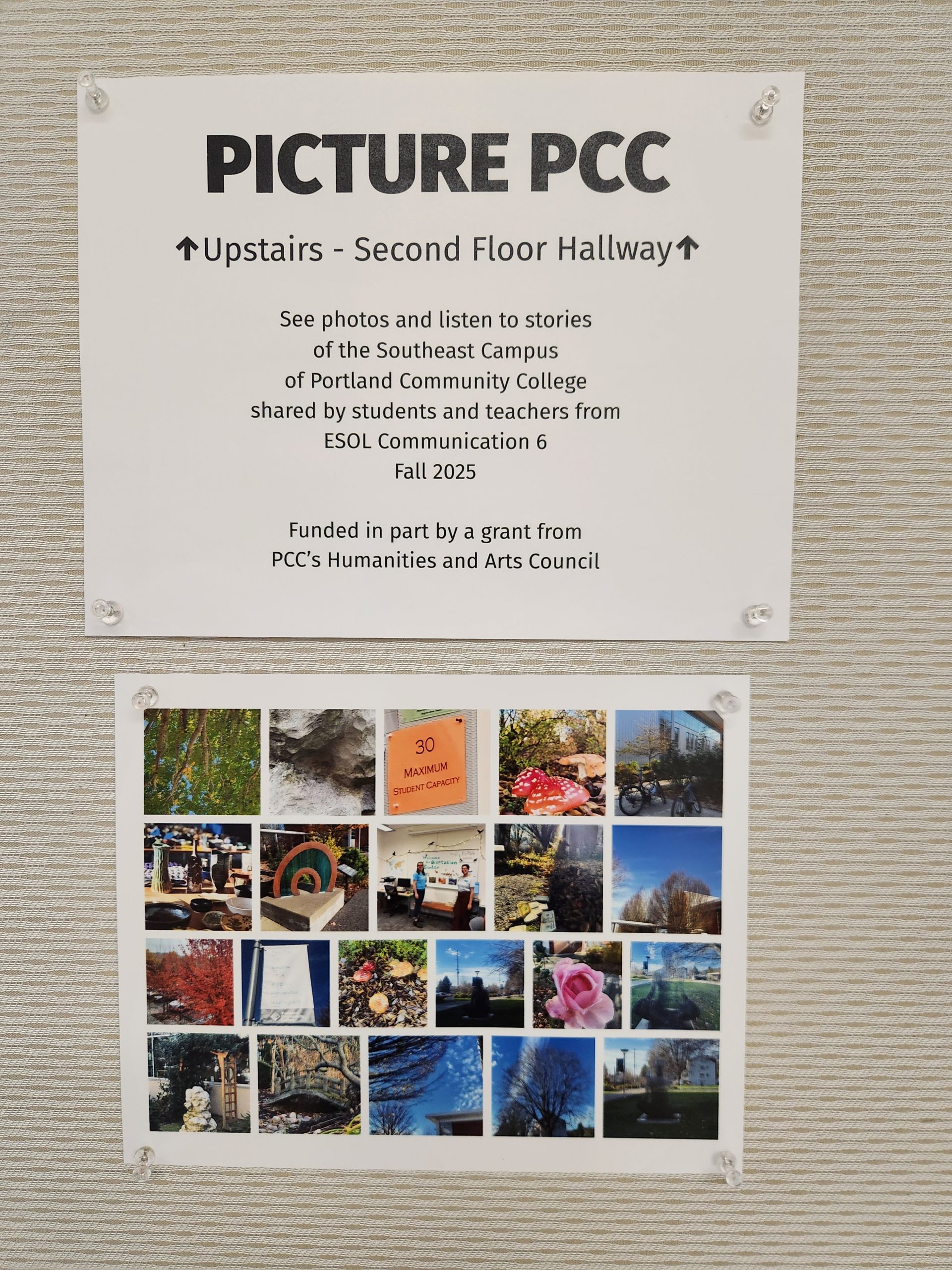 images from Picture PCC, an exhibit of student photography