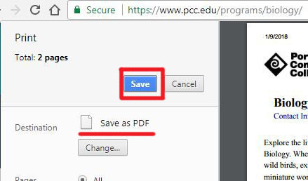 Click the Save button to save your printout as a PDF