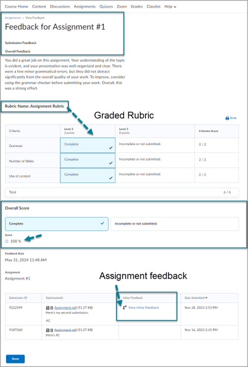 Viewing Assignment Feedback
