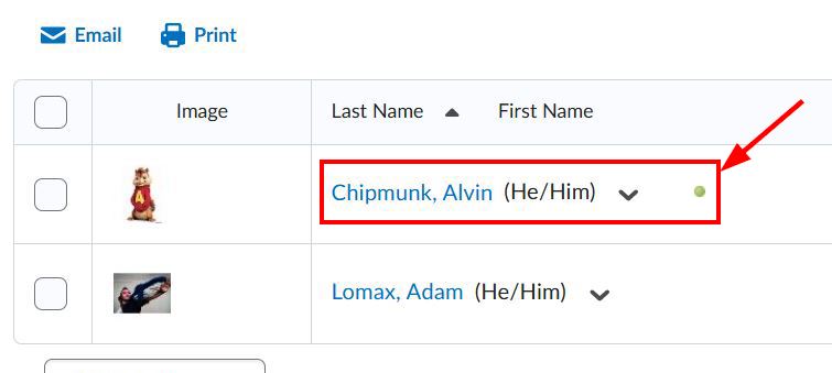 A screenshot depicting two members in the D2L Brightspace classlist. One member has a small green circle next to their entry, which indicates that they are online.