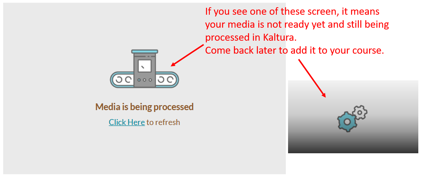 my media: kaltura processing screen