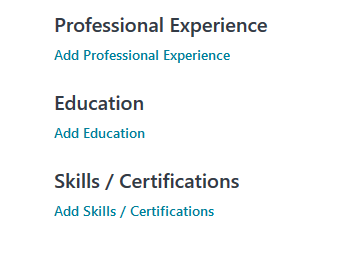 Screenshot of Professional Experience section of the application