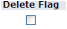 Delete Flag checkbox