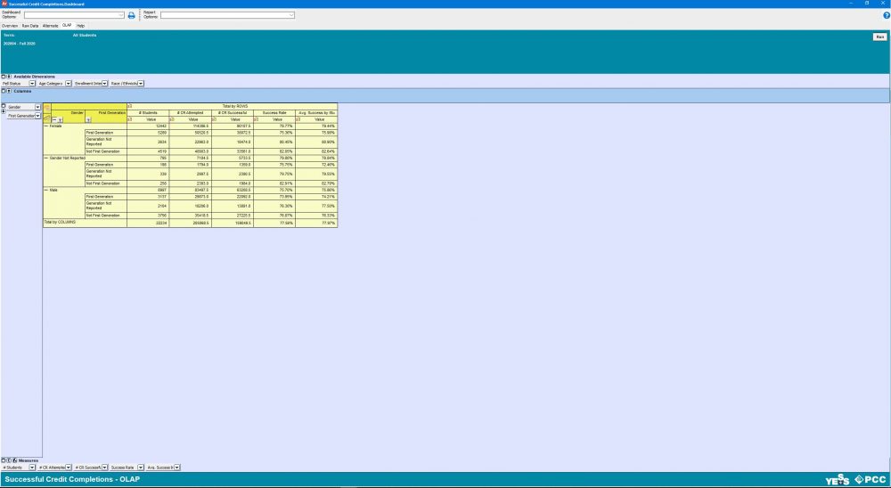 ARGOS Report screenshot OLAP tab