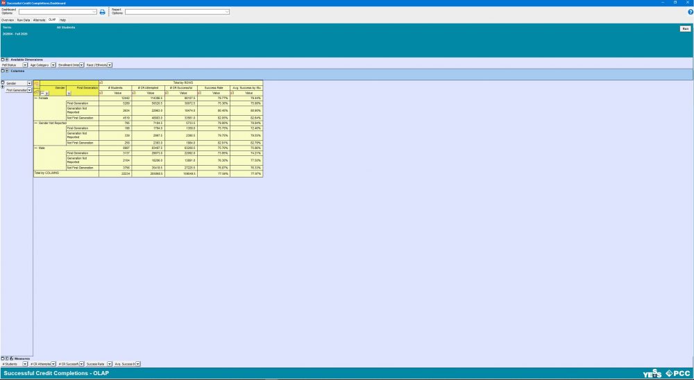 ARGOS Report screenshot OLAP tab