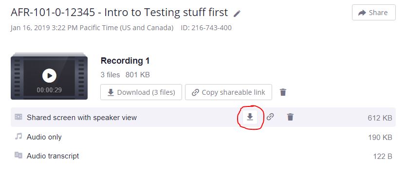 Click the download icon for shared screen with speaker view