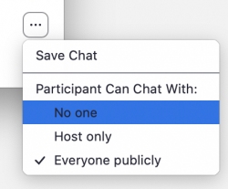 Click on the more button in the chat pane and select who can chat