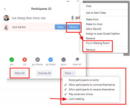 The more button in Manage Participants lets you remove guests or send them to a waiting room.