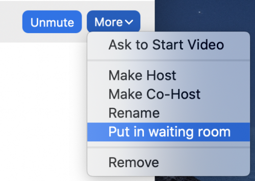 Click on More and select Put in waiting room.