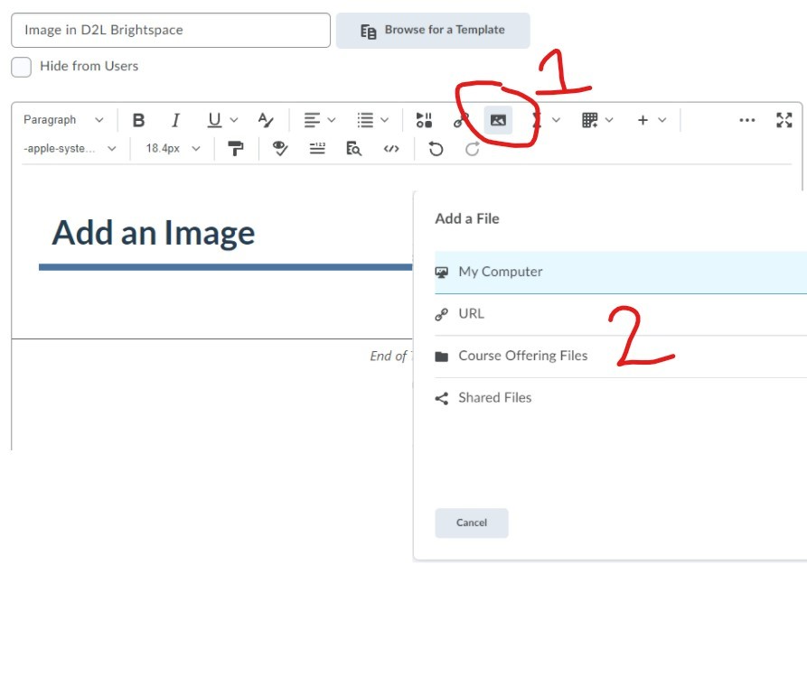 An image of the Add a File window for finding an image on your computer, in the course offering files, or by URL. 