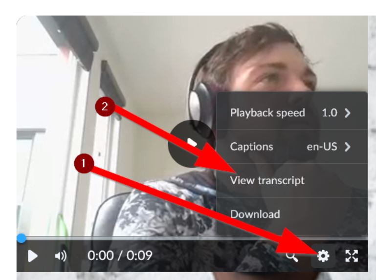 Image showing the view transcript location