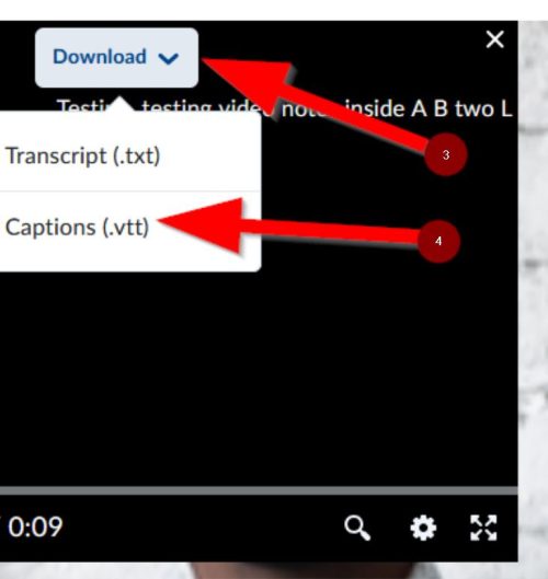 Image showing vtt download button