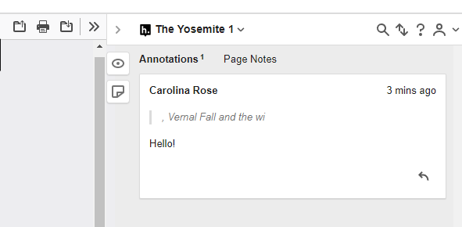 An example of a Hypothes.is activity submission with no grade item attached. 