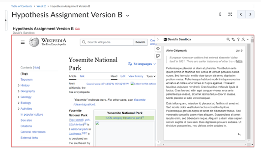 Why does my Hypothes.is Activity link show up in a small window?