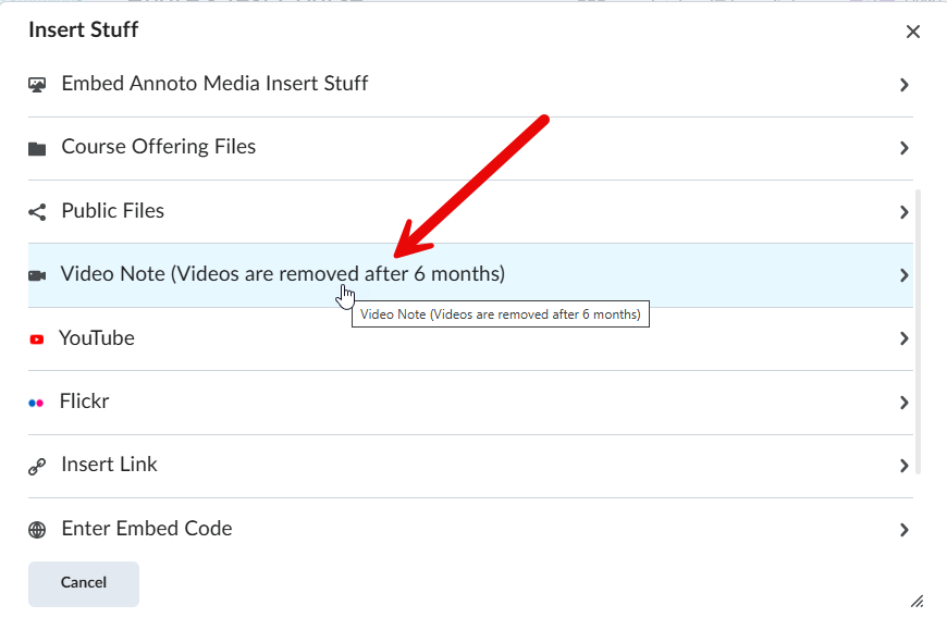 A red arrow pointingt to the Video Notes Insert Stuff Option