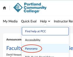 You can access the panorama link under the Help menu.