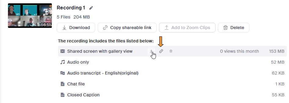 Click the download icon for shared screen with gallery view