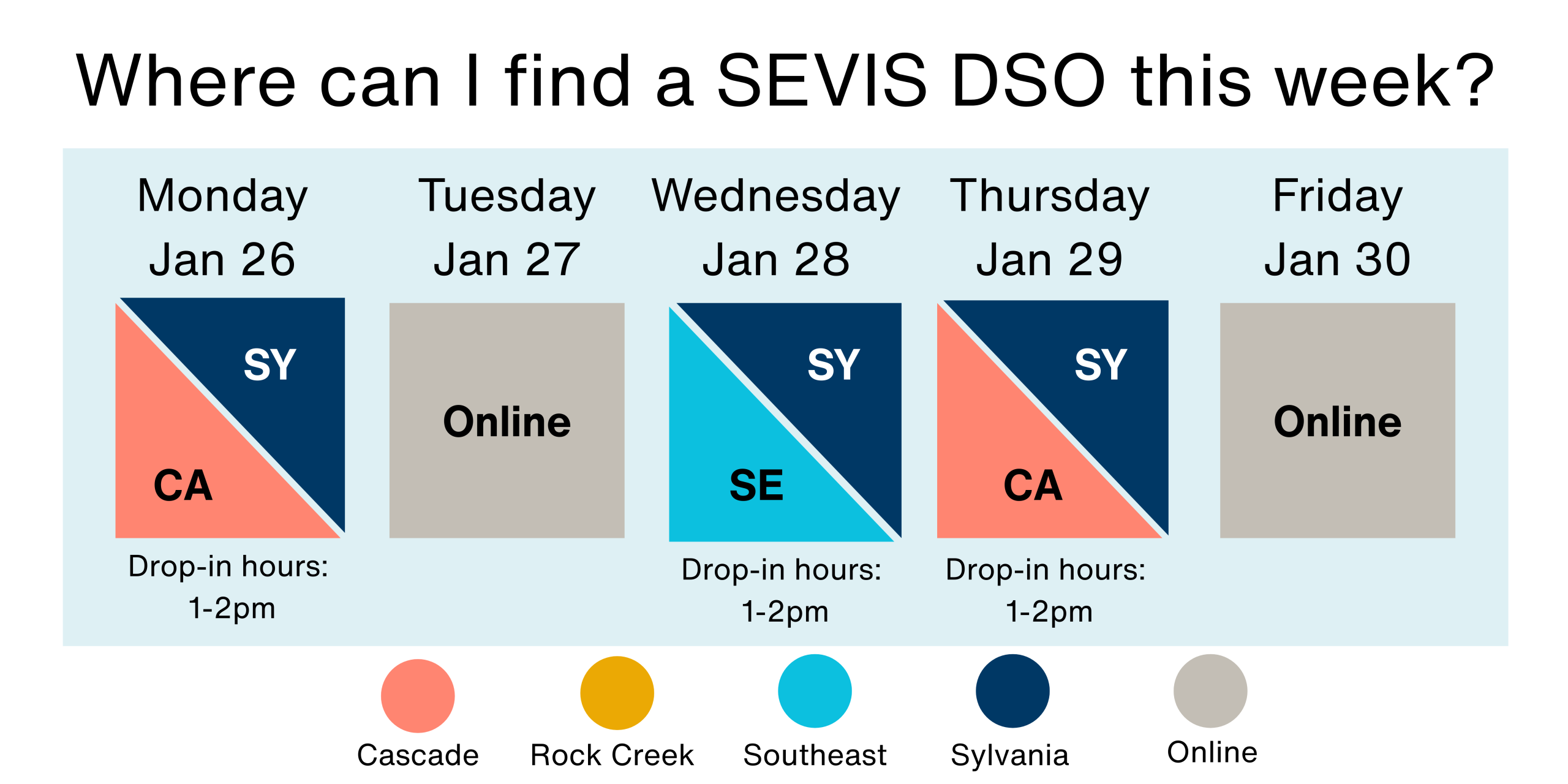 SEVIS DSO Location
