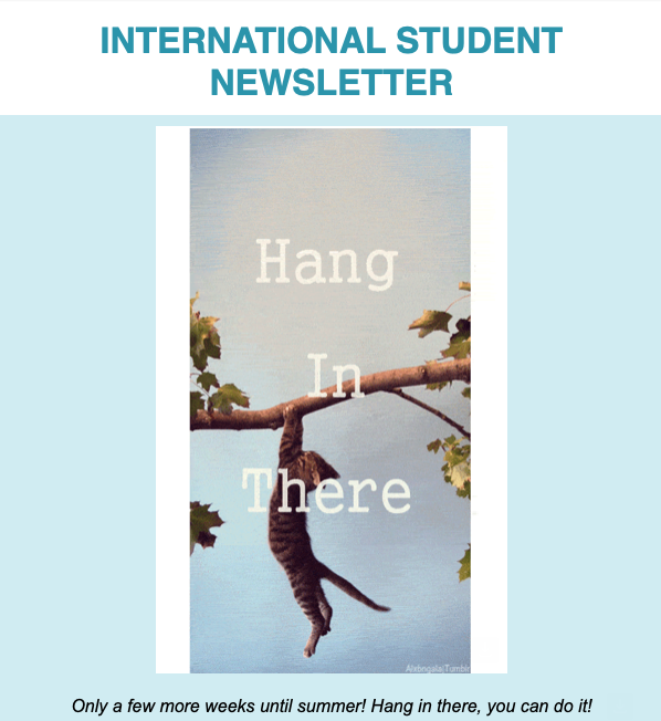OISS Newsletter
