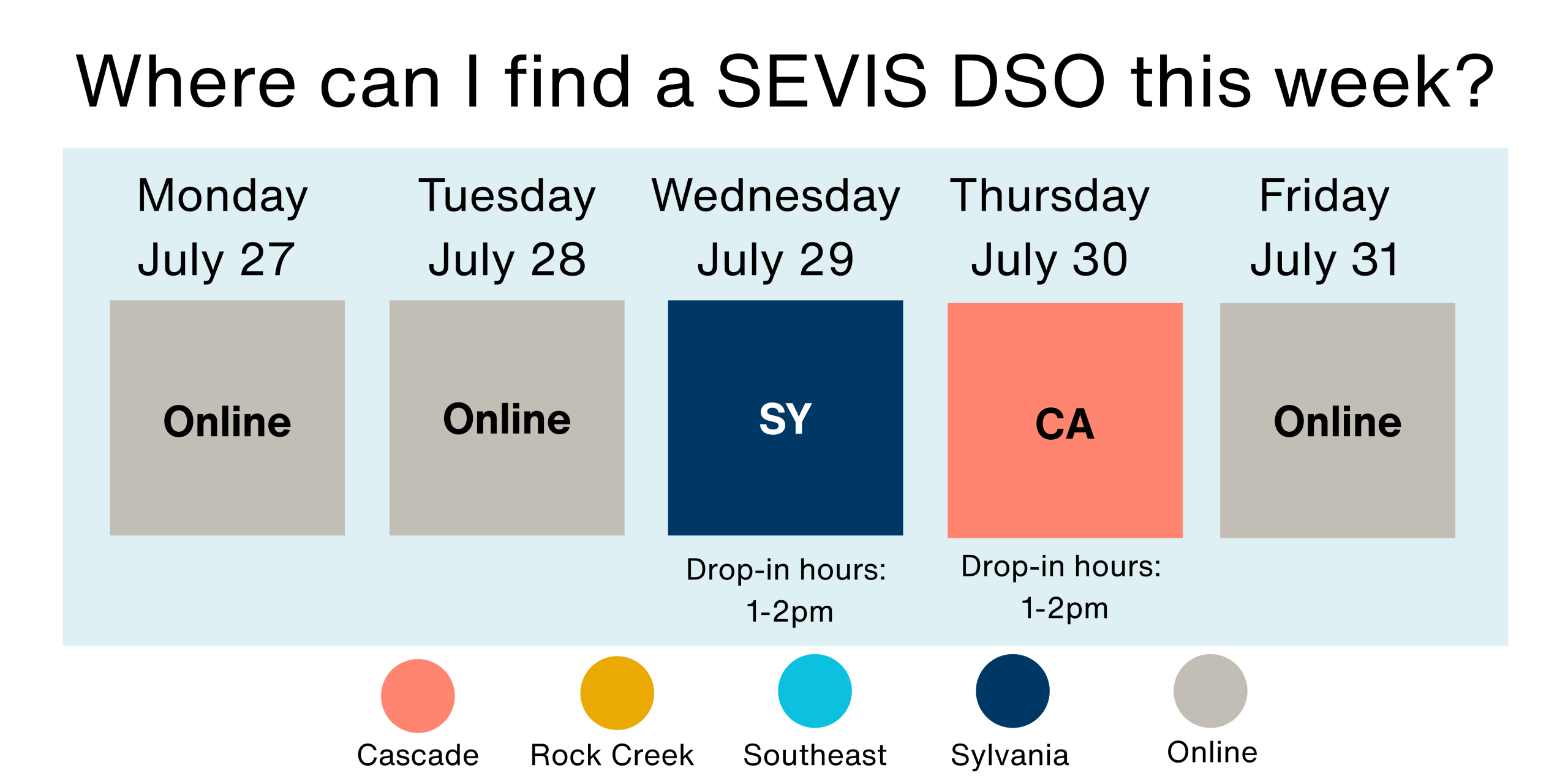 Where to find a SEVIS DSO
