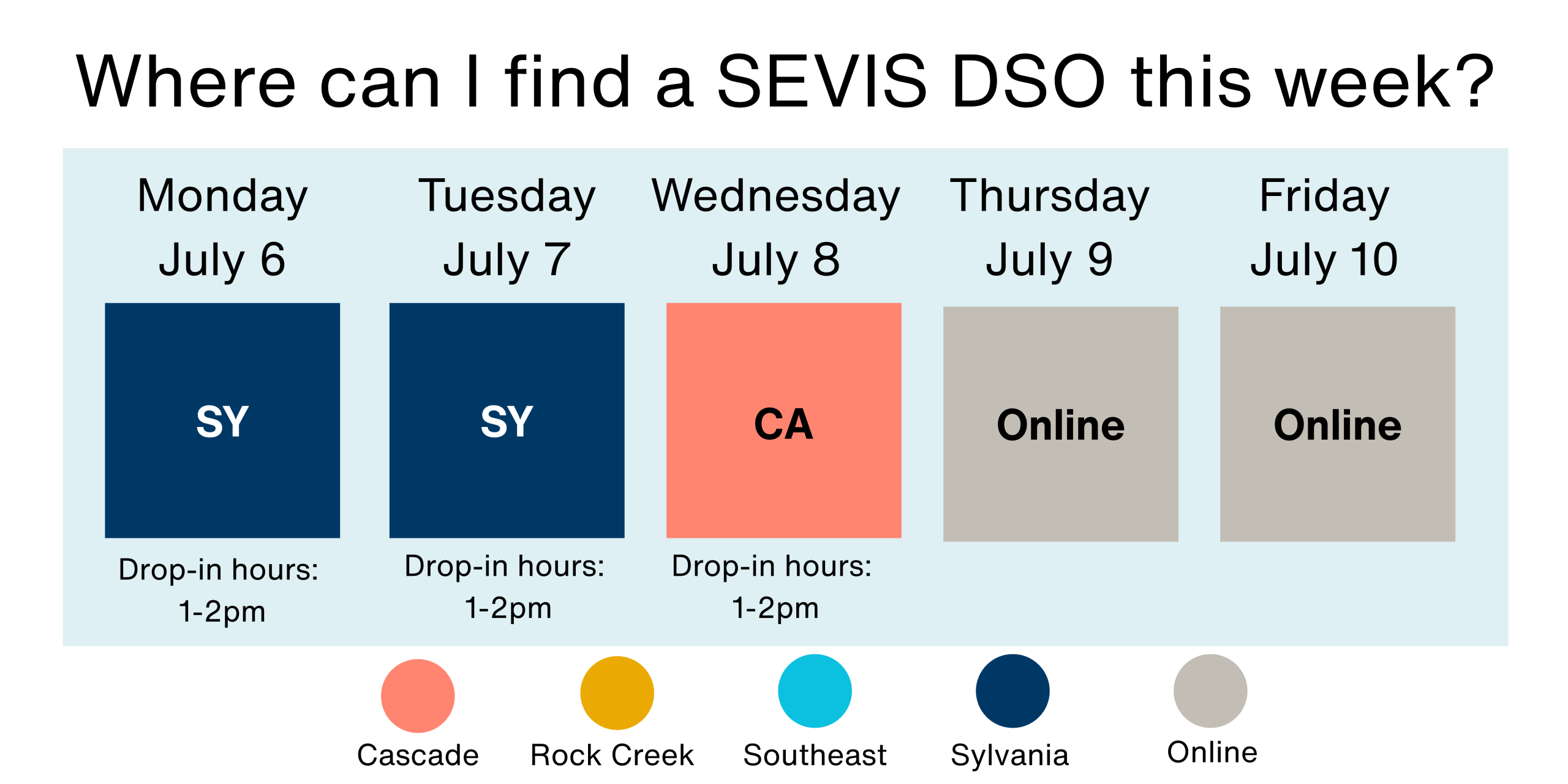SEVIS DSOs