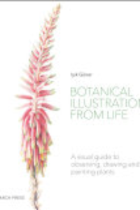 Botanical Illustration From Life : A Visual Guide To Observing, Drawing And Painting Plants