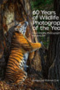60 Years Of Wildlife Photographer Of The Year : How Wildlife Photography Became Art