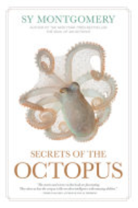 Secrets Of The Octopus