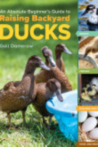 ABSOLUTE BEGINNER'S GUIDE TO RAISING BACKYARD DUCKS: BREEDS, HOUSING & FEEDING, HEALTH CARE,... EGGS